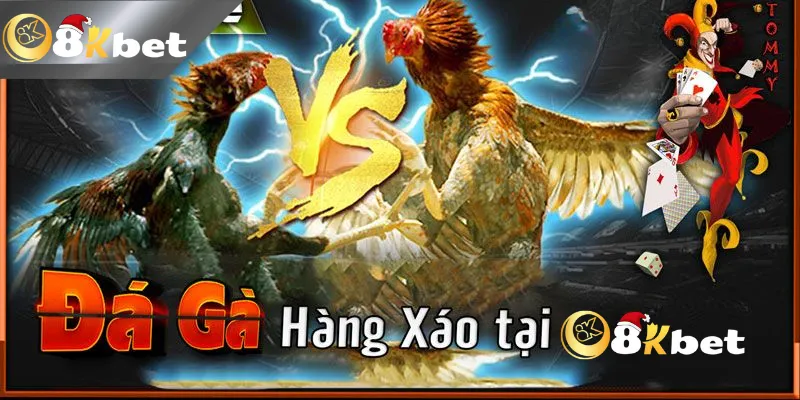 Kinh Nghiệm Đá Gà Hàng Xáo Tại 8KBET Nhận Tiền Thưởng khủng Kinh Nghiệm Đá Gà Hàng Xáo